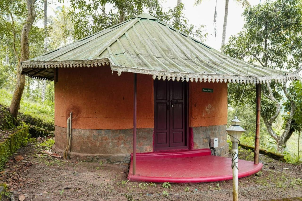 Punarjani Ayurvedic Resorts Ramakkalmedu Εξωτερικό φωτογραφία