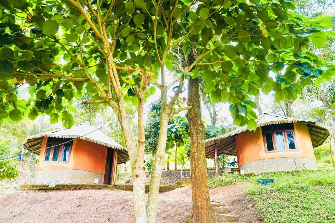 Punarjani Ayurvedic Resorts Ramakkalmedu Εξωτερικό φωτογραφία