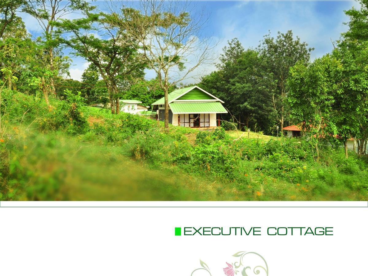 Punarjani Ayurvedic Resorts Ramakkalmedu Εξωτερικό φωτογραφία